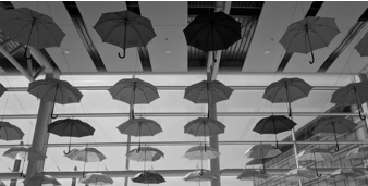 Educación y neurodiversidad: el reto de la integración